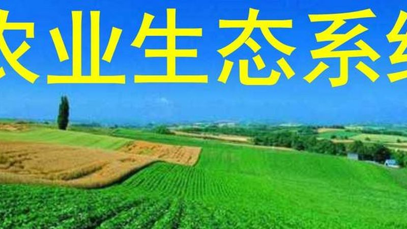食品企业绿色认证：了解费用与价值