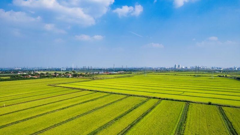 水果种植设备：品牌型号参数解析与选购要点