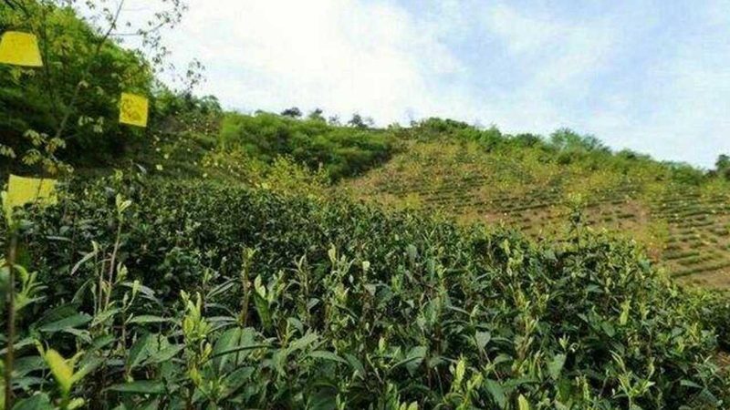 农产品批发与零售：哪个更赚钱，背后的逻辑与考量