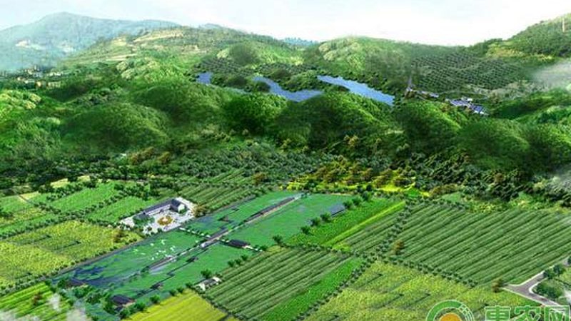 批发商的货从哪来：拆解农产品厂家发货全流程