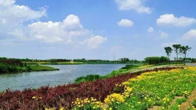 大棚农业种植技术哪家好