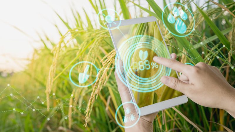 农民专业合作社注册，2025年新流程解析