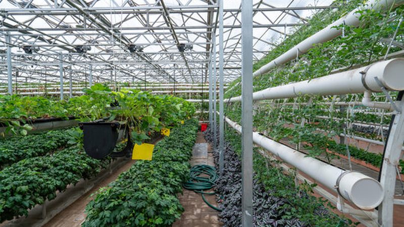 农业观光园节庆活动策划公司