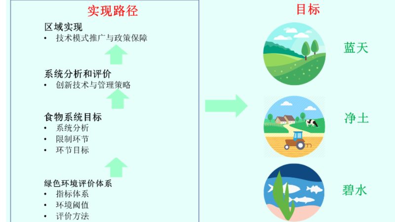 上海家庭农场经营模式解析：因地制宜，高效可持续