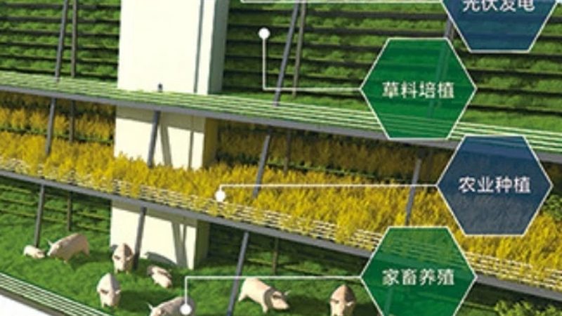 农业项目如何落地：关键步骤与注意事项