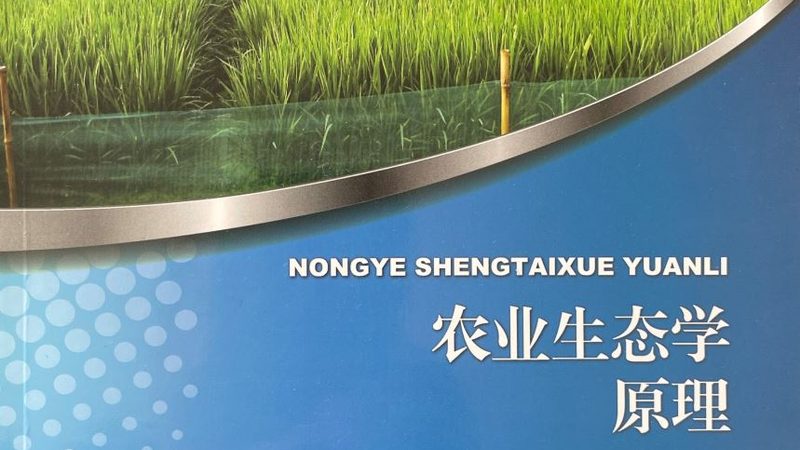 绿色食品认证：如何选择合适的加盟公司