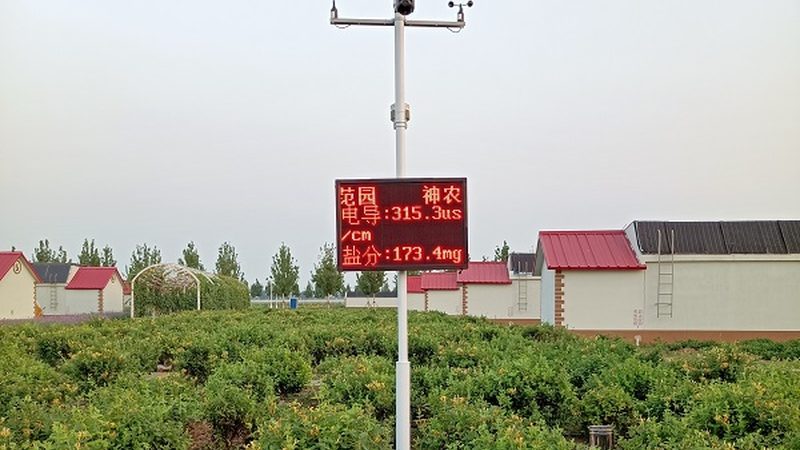 蓝莓水肥一体化：PH值控制的奥秘与标准