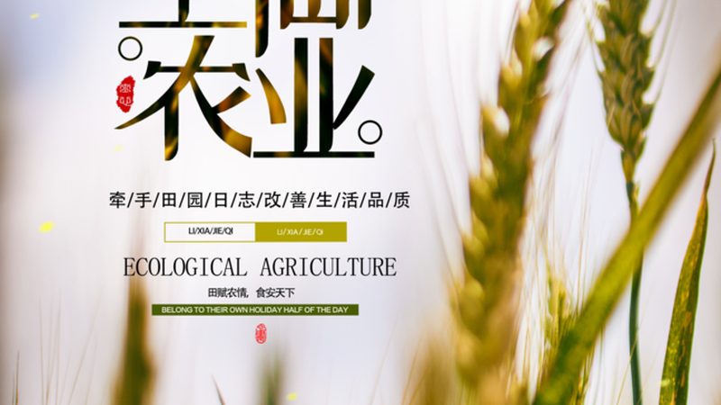 绿色食品认证续展费用揭秘：费用构成与影响因素