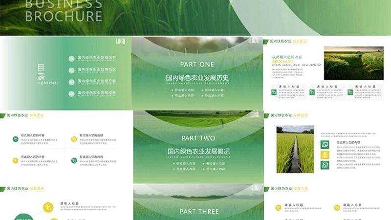 上海有机蔬菜配送：直供背后的生态秘密
